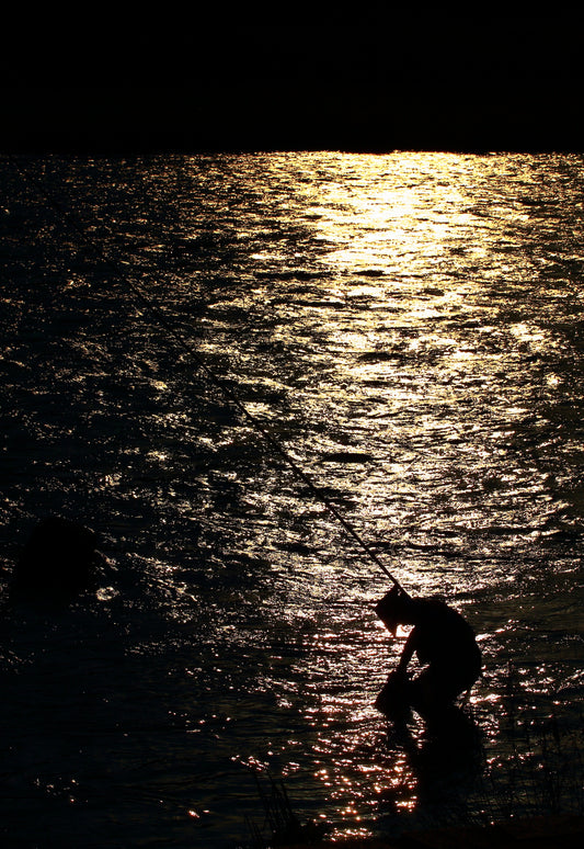 「熱中症対策」（網代傘）ー一心不乱ー